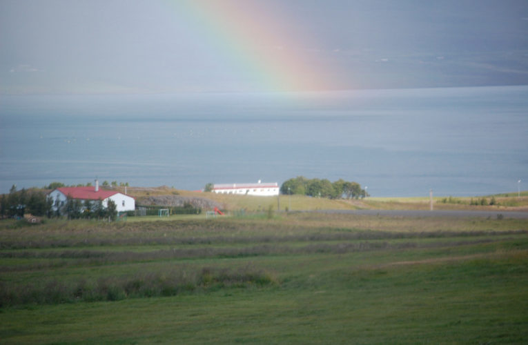 Sevilla: Is he really my true Valentine? Love and PTSD.