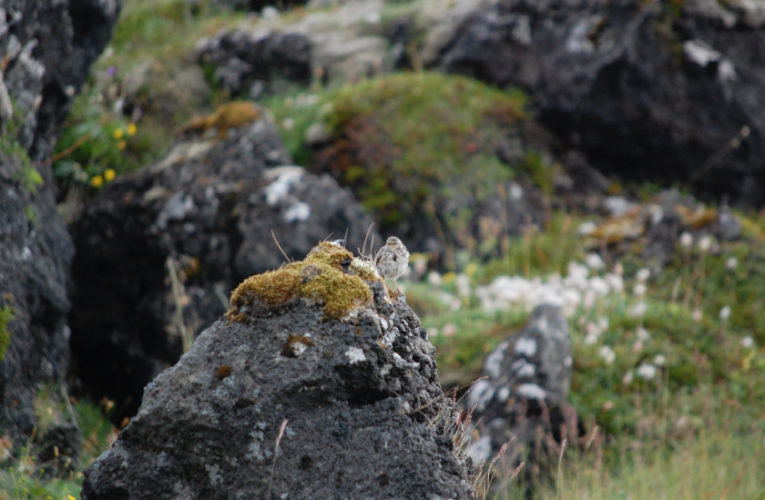 Sevilla: Post-school holidays re-set. PTSD self-scan.