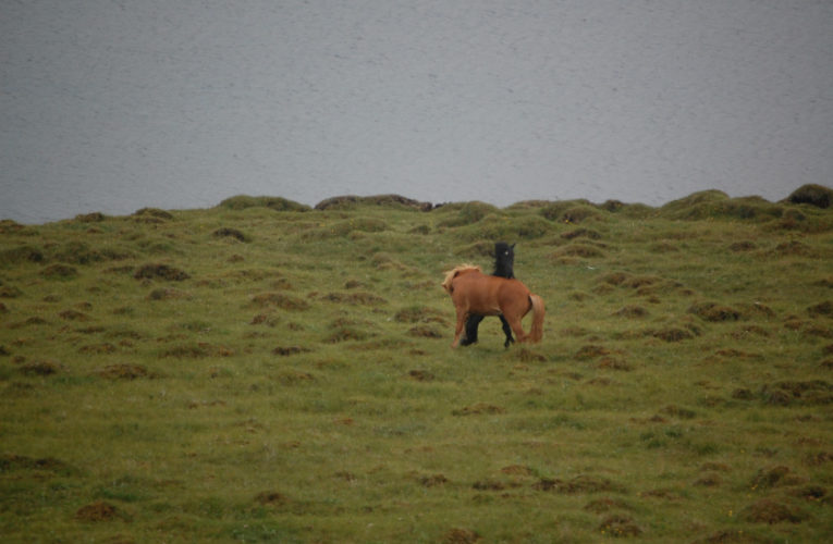 Sevilla: The Battle for Harmony When Living With PTSD